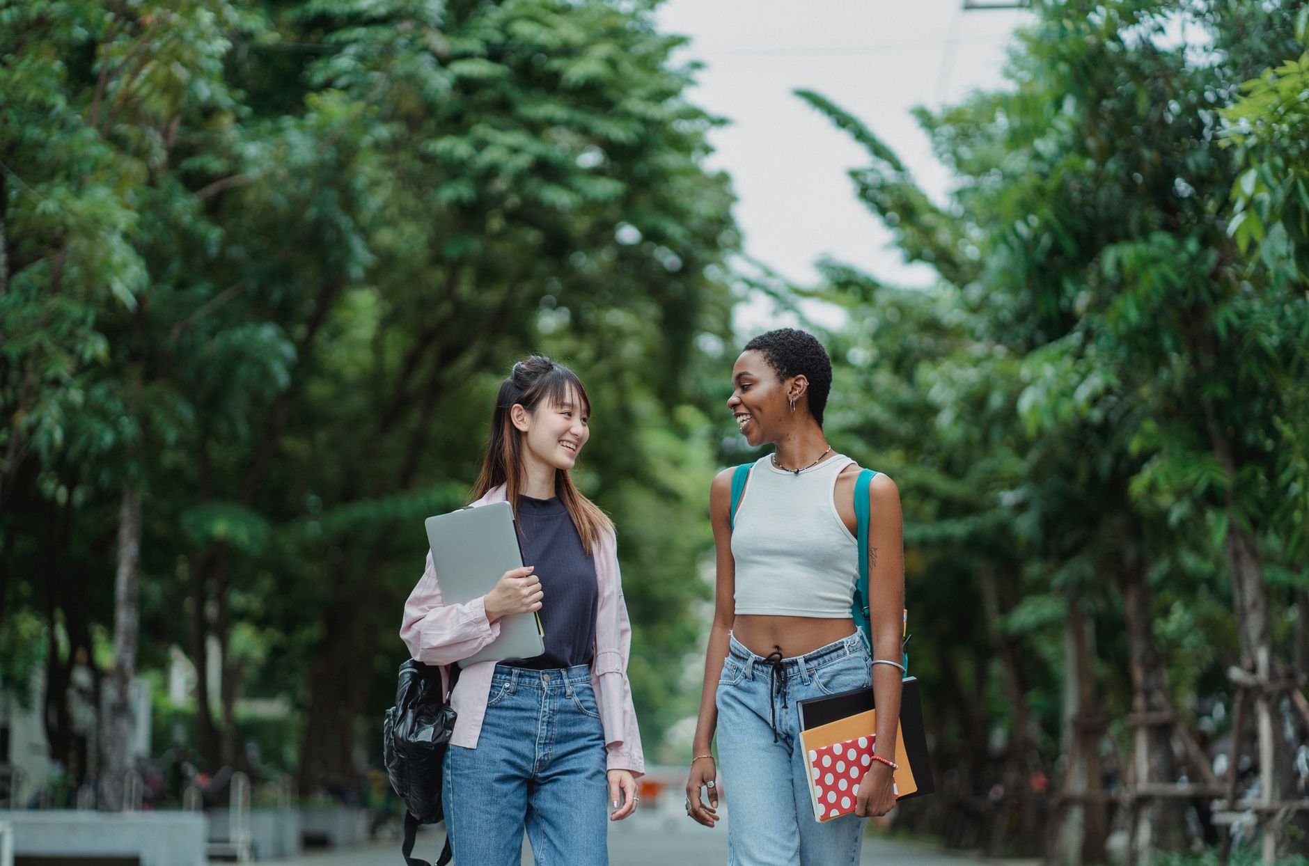 studymy-cn 配图